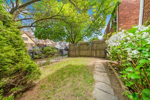a view of a yard with plants and a large tree