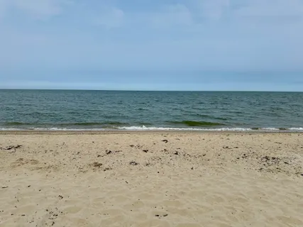 a view of beach and ocean