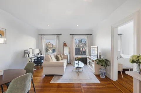 a living room with furniture and a potted plant