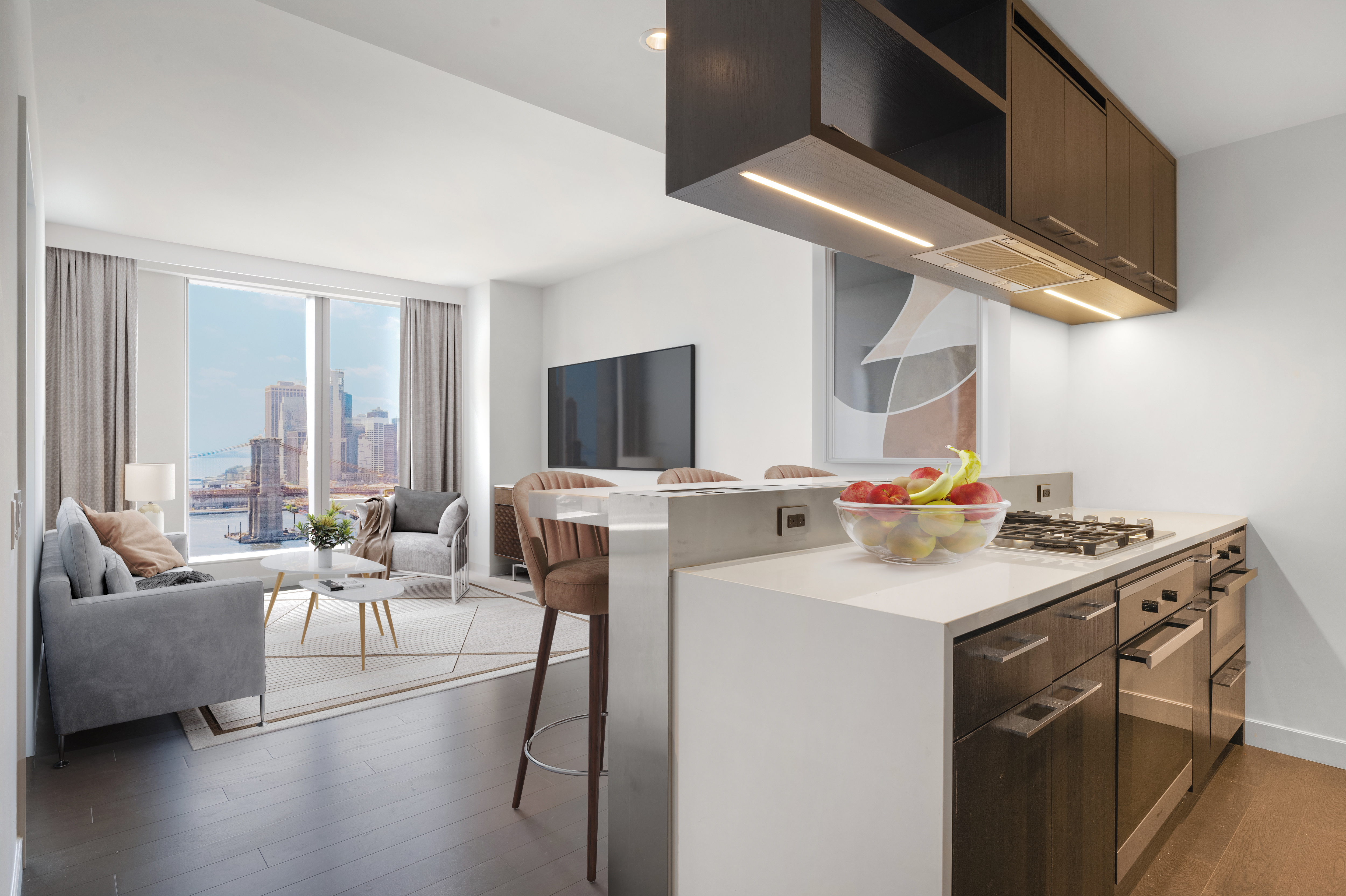 252 South Street, Unit 25C Manhattan, NY 10002 - Photo 1 of 14
