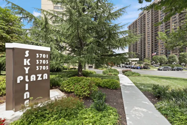 a view of a park with of trees