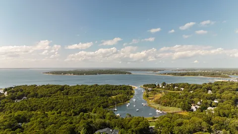 a view of a green field