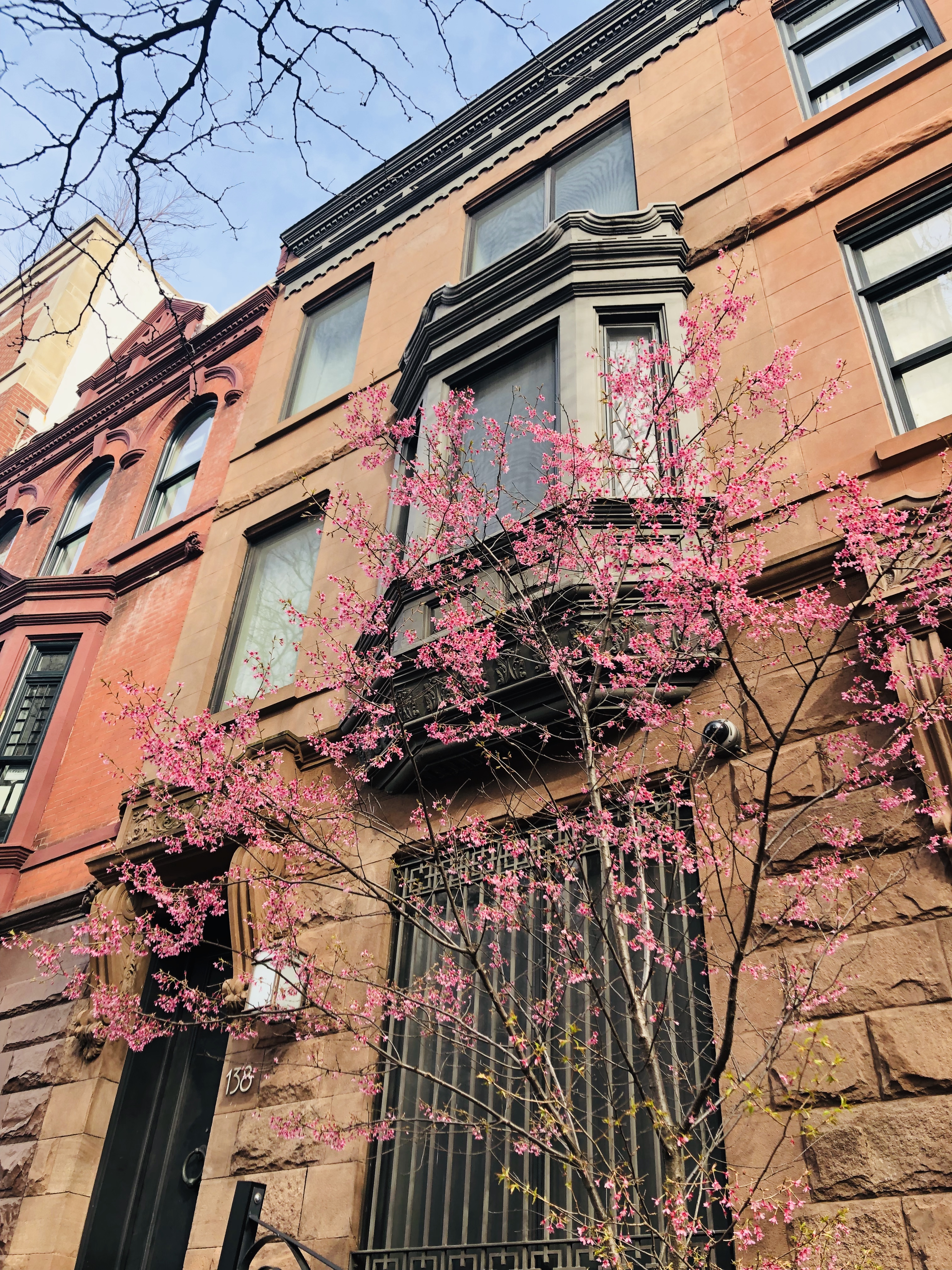 138 Manhattan Avenue Manhattan, NY 10025 - Photo 18 of 20