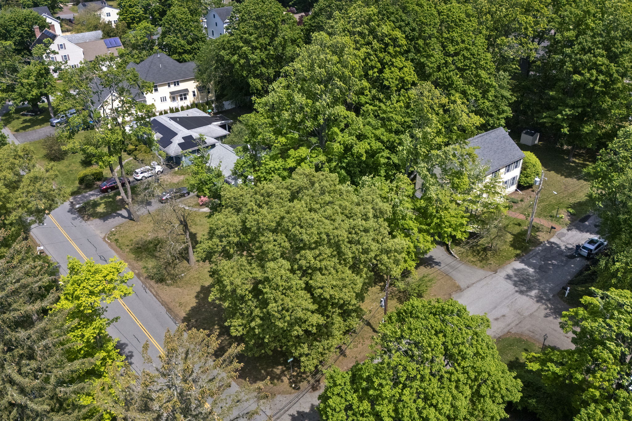 2 Laurel Street Lexington, MA 02421 - Photo 41 of 46 an aerial view of residential house with outdoor space and trees all around