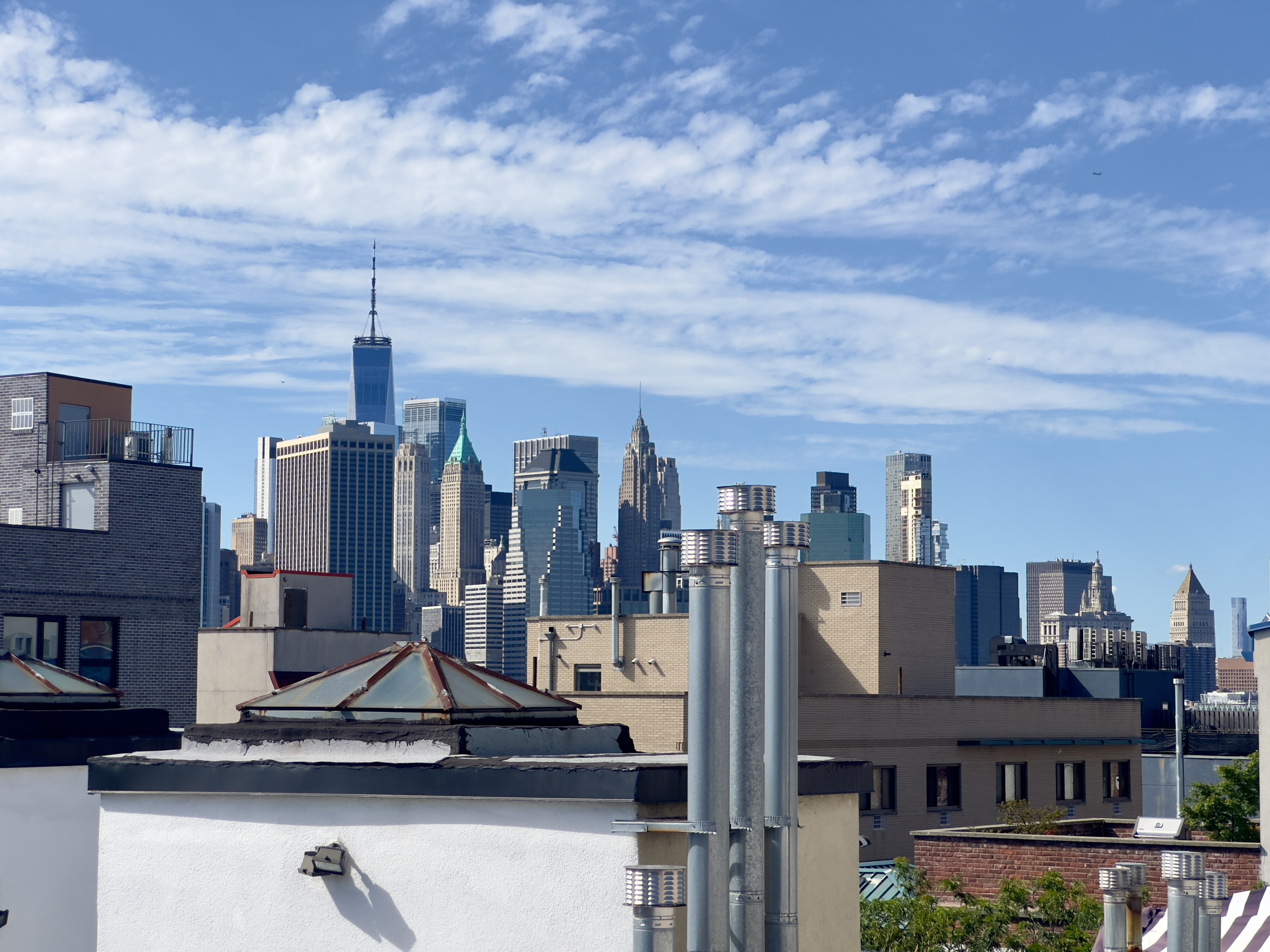 140 Degraw Street, Unit 4B Brooklyn, NY 11231 - Photo 7 of 8 a view of a city with tall buildings