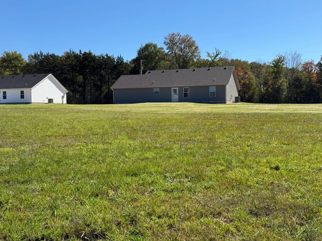 a view of a house with a yard and a large tree