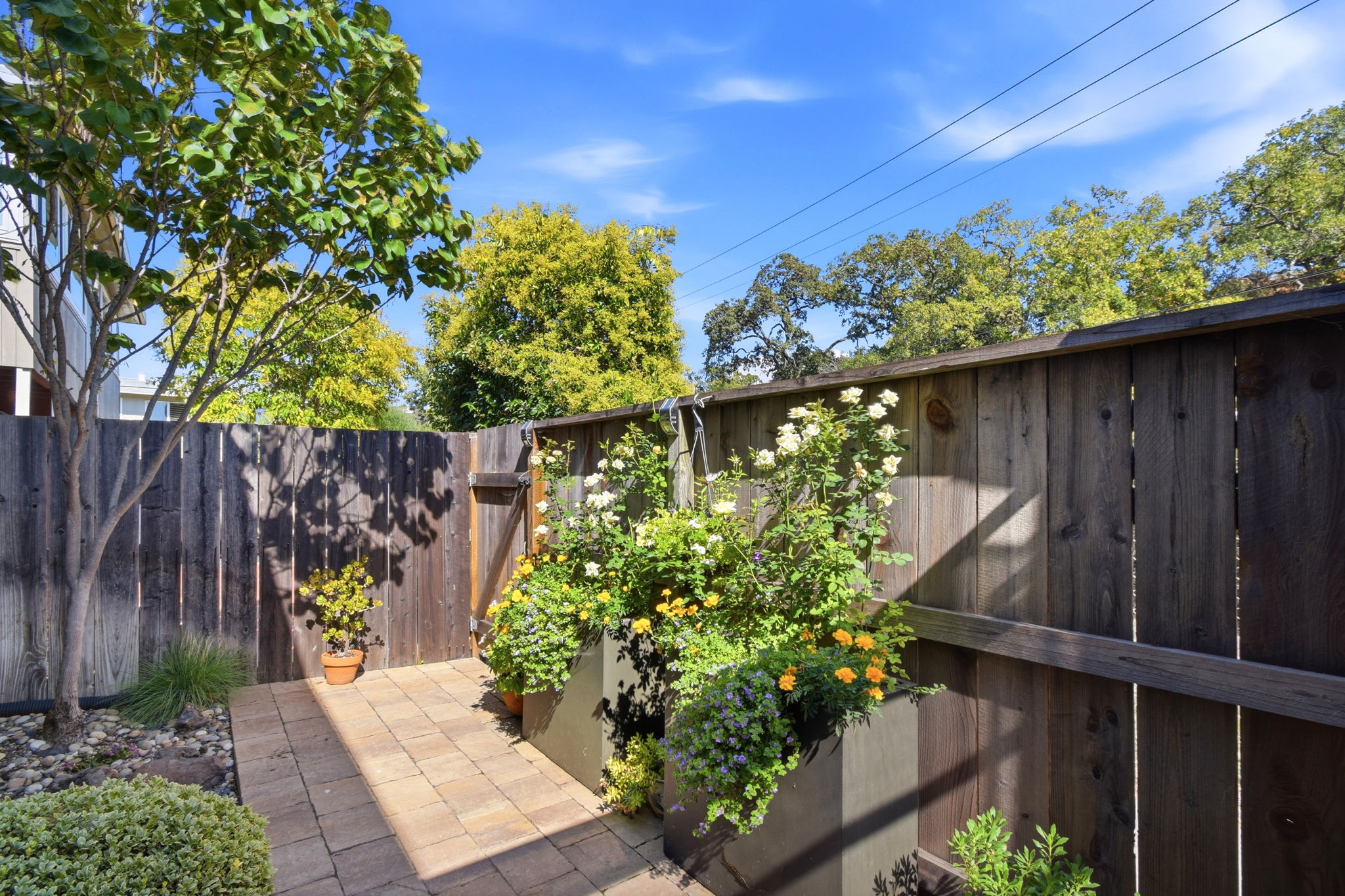 1016 Los Gamos Road, Unit D San Rafael, CA 94903 - Photo 25 of 28 Gallery Image 25