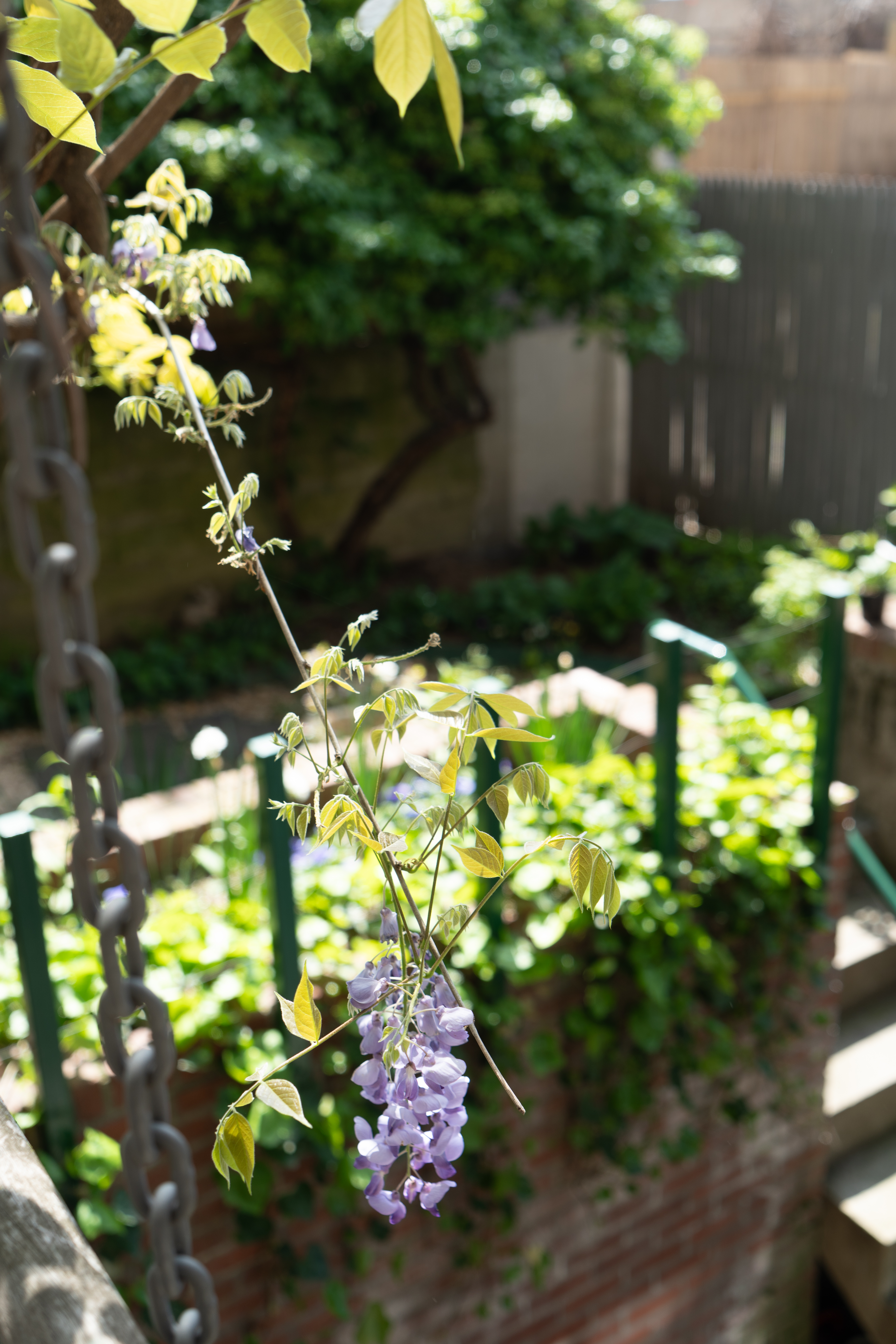 248 17th Street, Unit 6 Brooklyn, NY 11215 - Photo 18 of 21 a picture of flowers