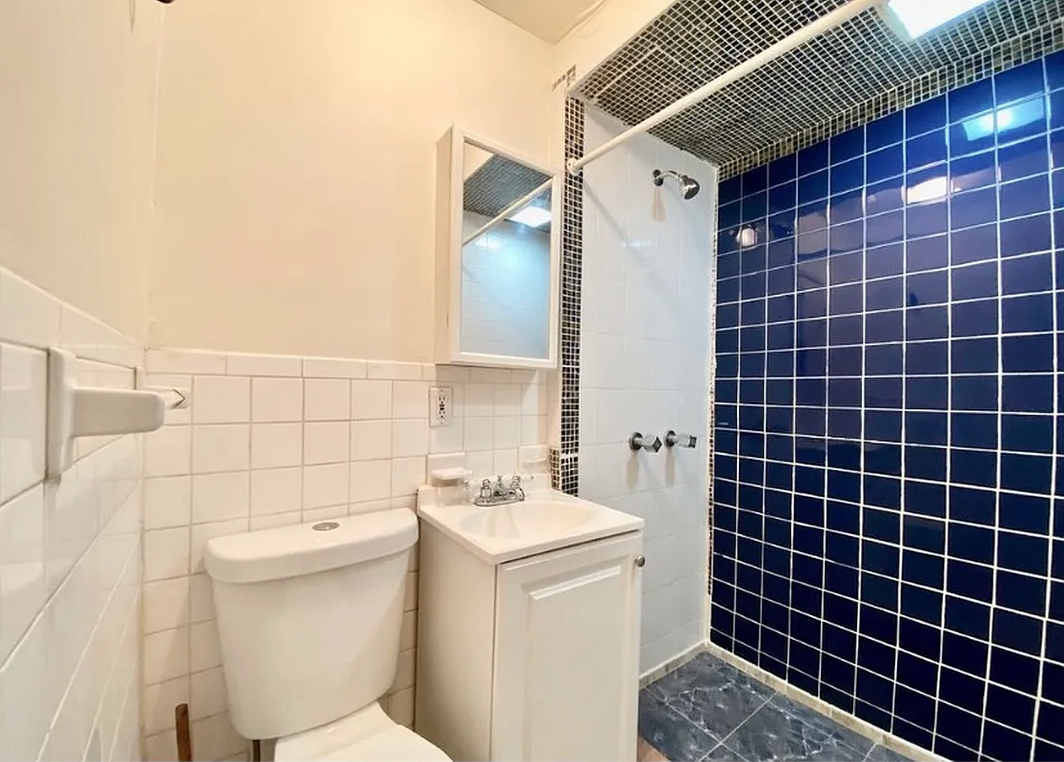 301 23rd Street Brooklyn, NY 11215 - Photo 11 of 13 Gallery Image 11