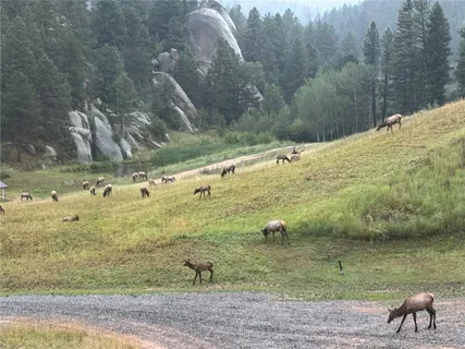 $2,845,000 | 60 North County Highway, Sedalia, CO 80135