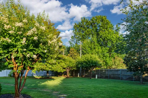 a view of yard with swimming pool and green space