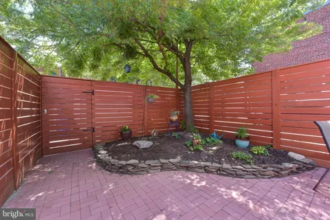a view of a backyard with chairs and a large tree
