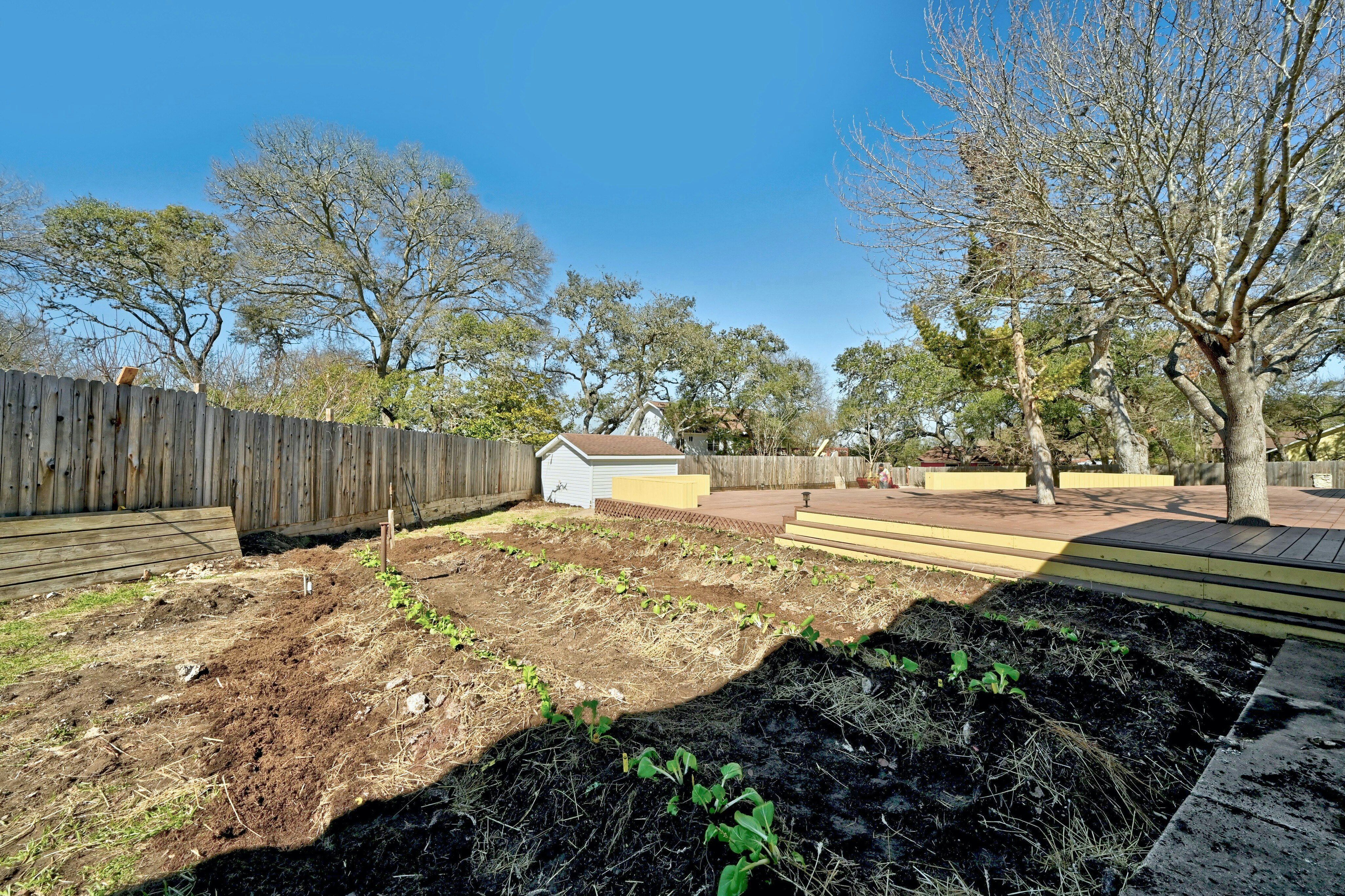 7412 Albert Road Austin, TX 78745 - Photo 38 of 42