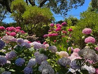 160 Crest Road Novato, CA 94945 - Photo 63 of 66