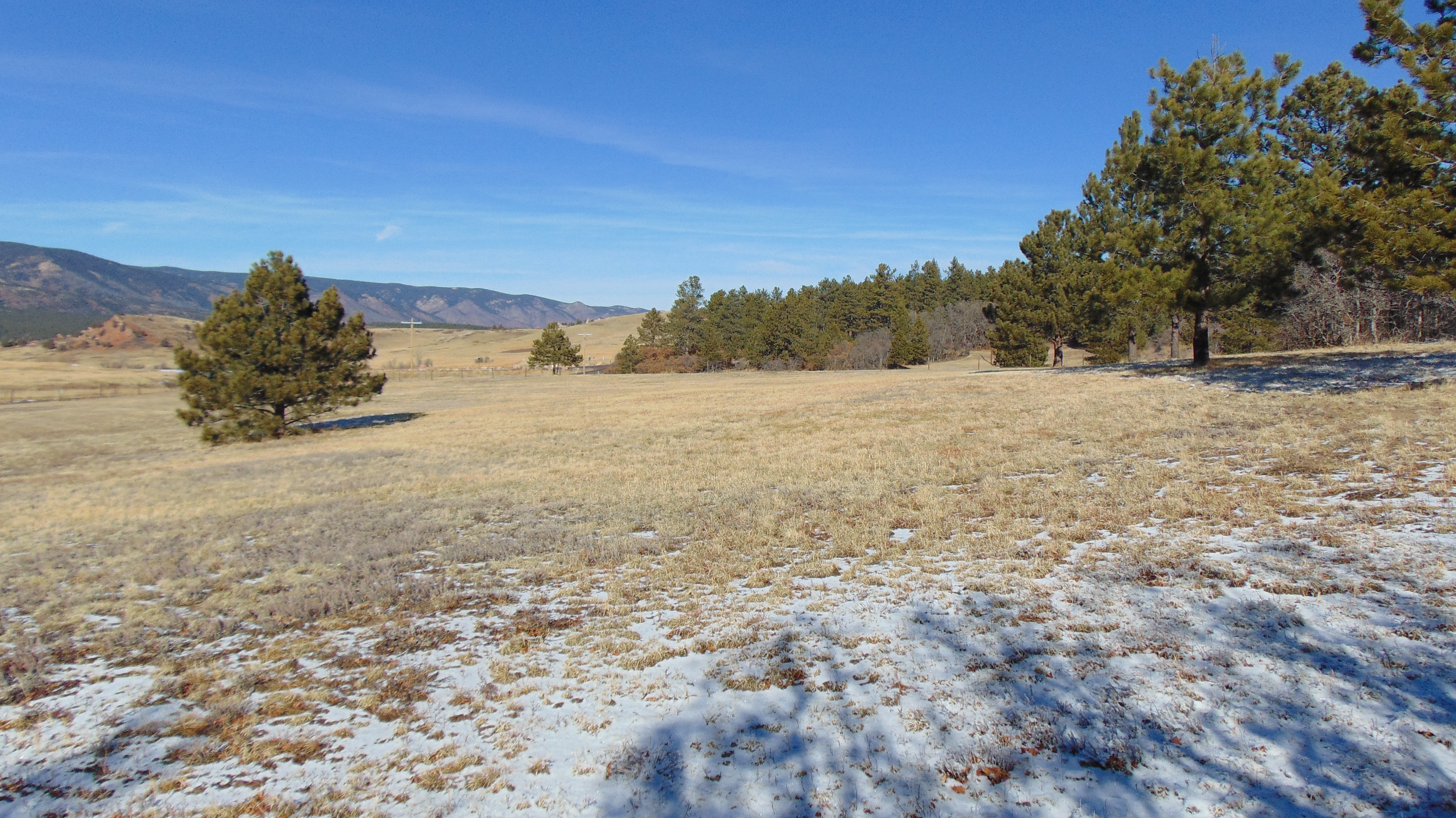 9676 South Perry Park Road Larkspur, CO 80118 - Photo 9 of 16