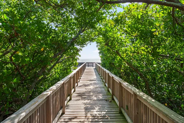 $424,900 | 3044 Pointeview Drive, Tampa, FL 33611