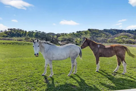 $1,590,000 | 3467 Blue Mountain Drive, Fairfield, CA 94534