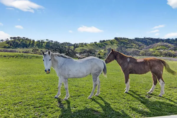 $1,499,000 | 3467 Blue Mountain Drive, Fairfield, CA 94534
