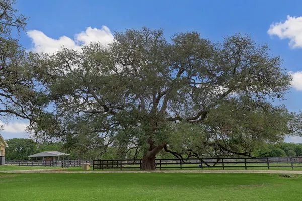 $4,750,000 | 5255 Ganske Road, Burton, TX 77835