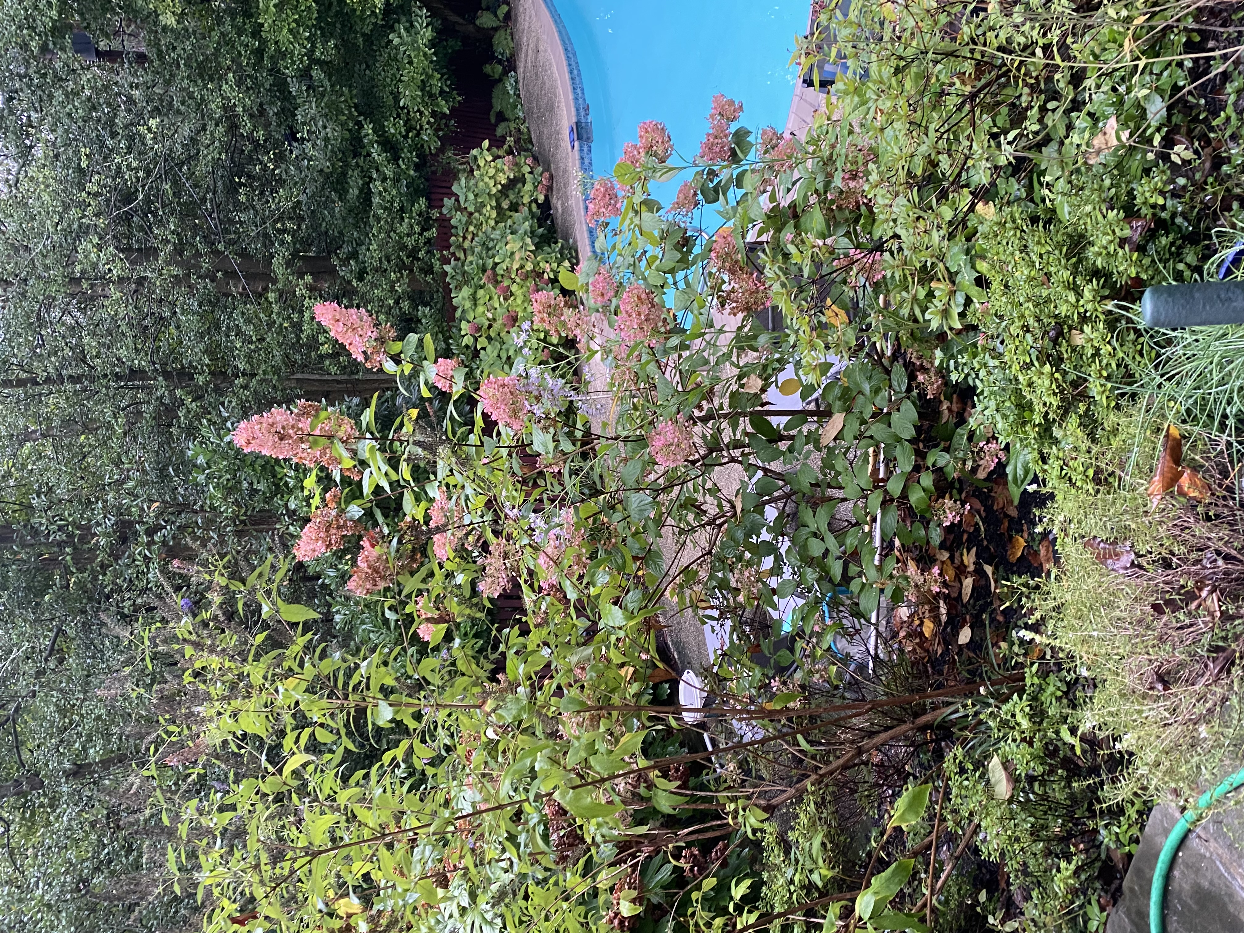 5344 Falmouth Road Bethesda, MD 20816 - Photo 11 of 17