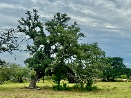 a view of a ocean with beach
