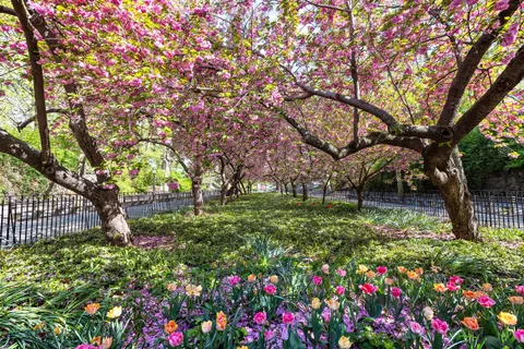$2,995,000 | 535 East 86th Street, Unit 16F | Upper East Side