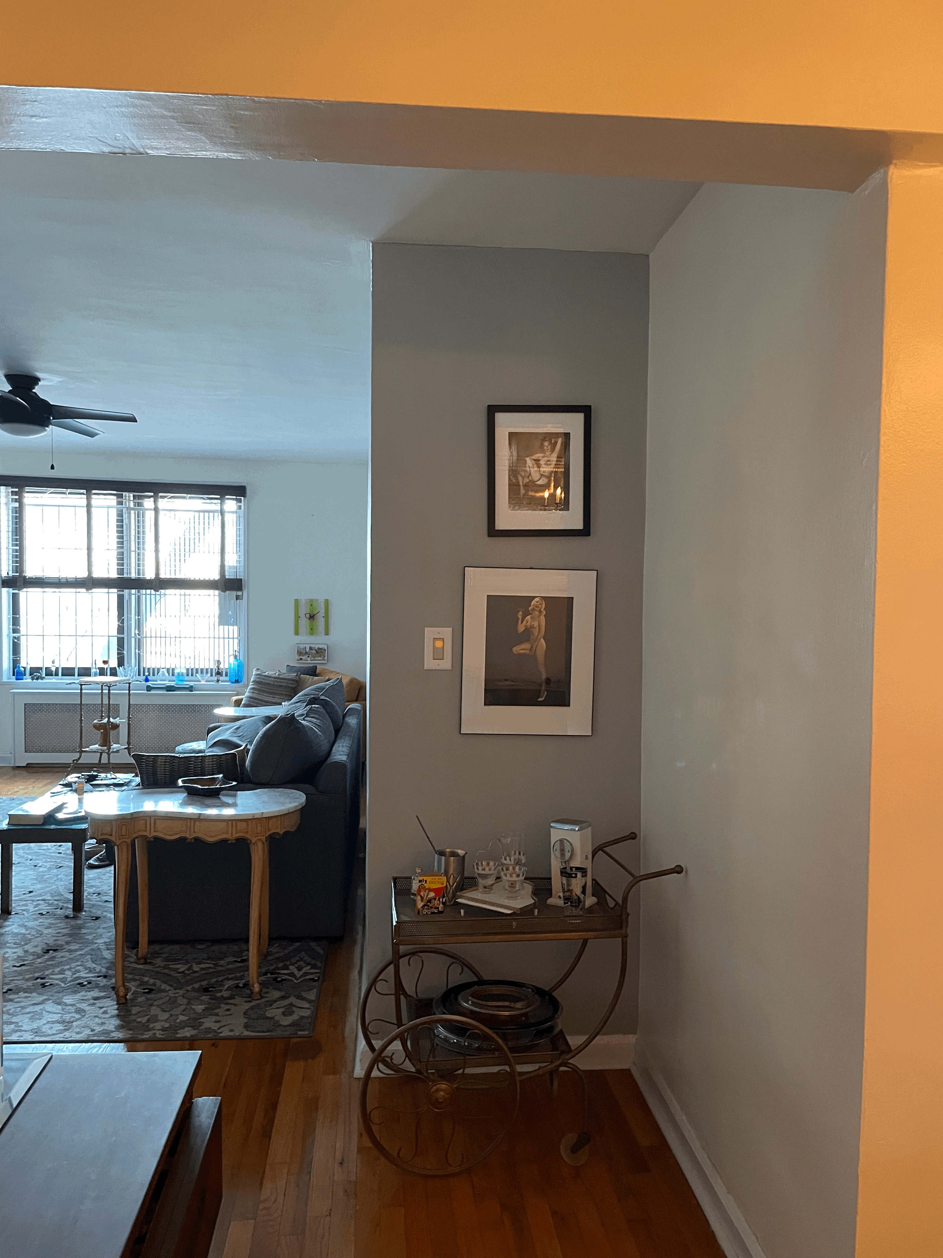 160 Ocean Parkway, Unit 2H Brooklyn, NY 11218 - Photo 5 of 10
