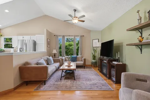 a living room with furniture and a potted plant