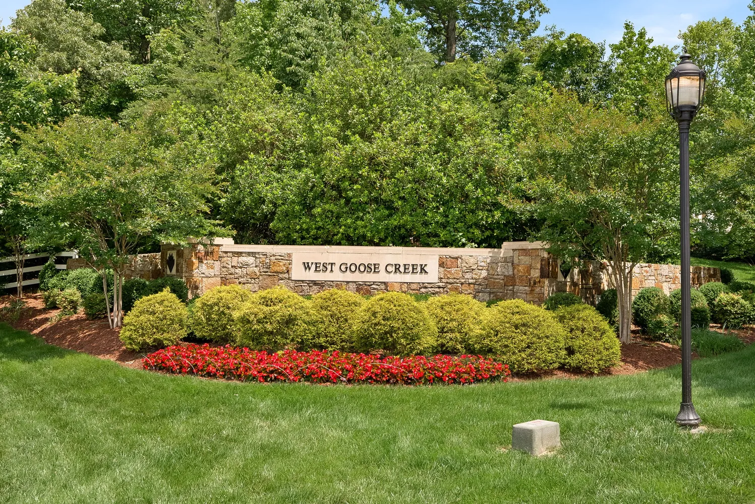 a view of a garden with flowers and trees