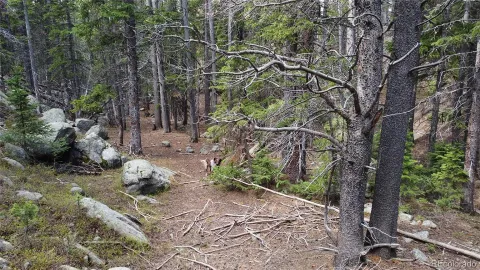 $65,000 | 0 Brook Drive, Idaho Springs, CO 80452