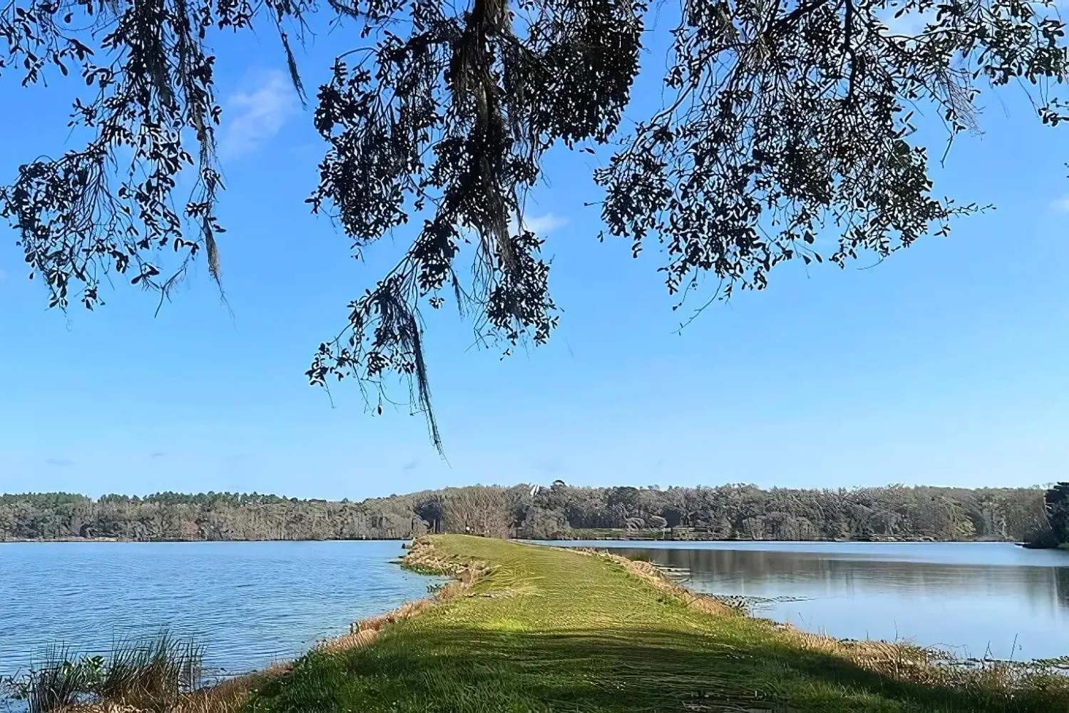 $419,900 | 4517 Garden Oaks Way, Tallahassee, FL 32311