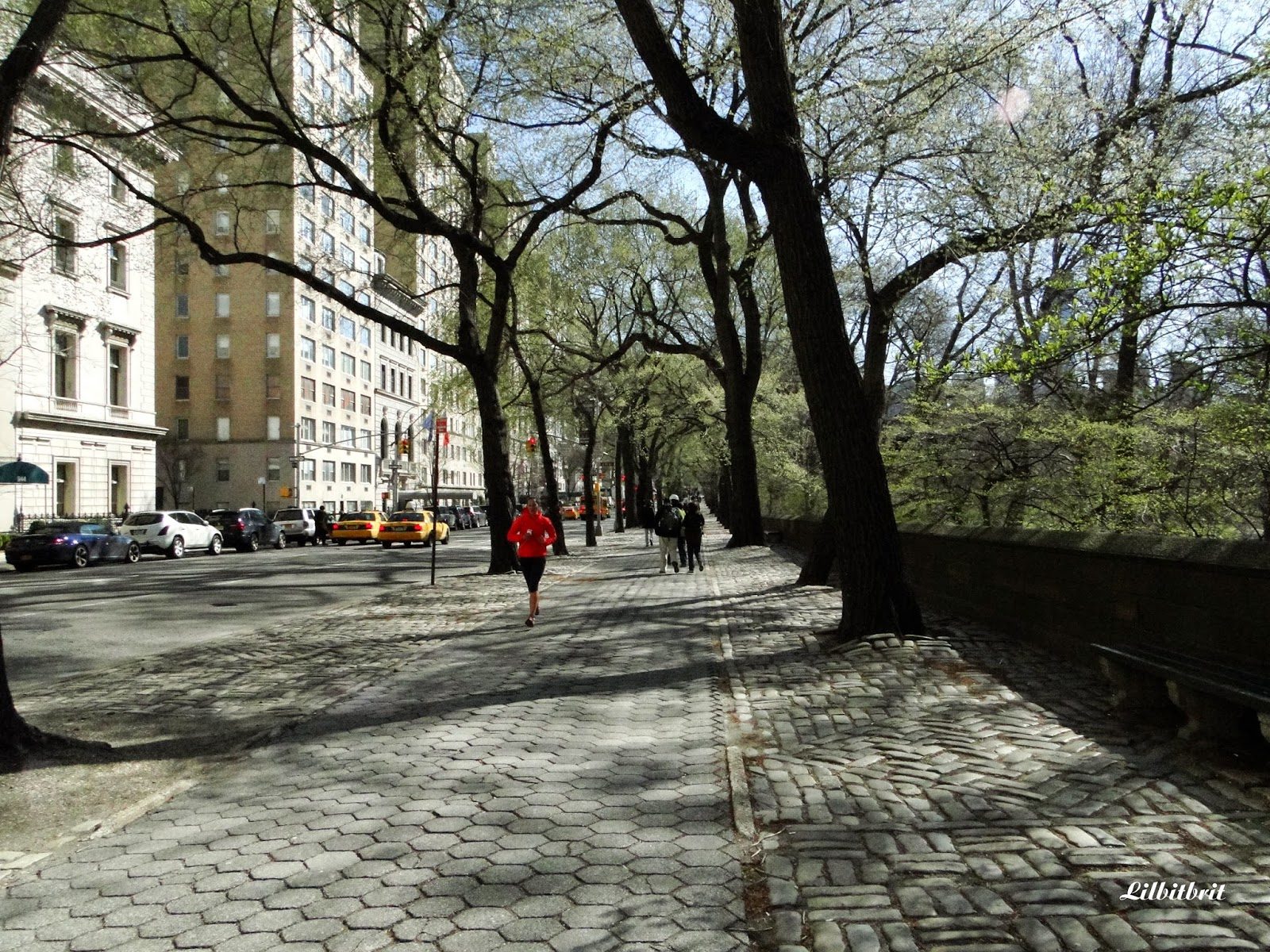 330 East 90th Street, Unit 5B Manhattan, NY 10128 - Photo 9 of 11