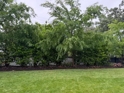 $2,950,000 | 509 North Quaker Lane, Alexandria, VA 22304