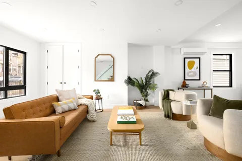 a living room with furniture a rug and a potted plant