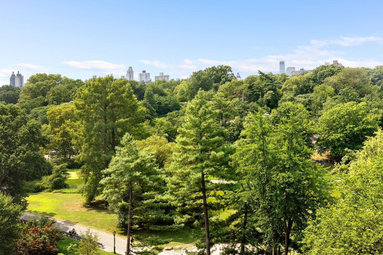 1255 5th Avenue, Unit 6D Manhattan, NY 10029 - Photo 4 of 15 a view of a bunch of trees