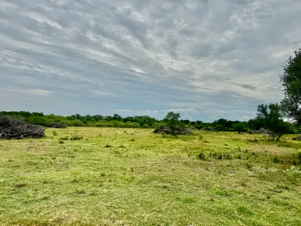 a view of a green yard