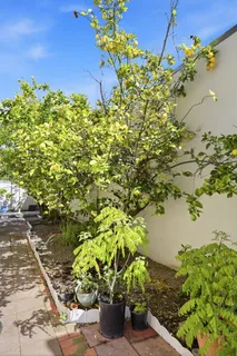 $1,428,000 | 40930 Rioja Court, Fremont, CA 94539
