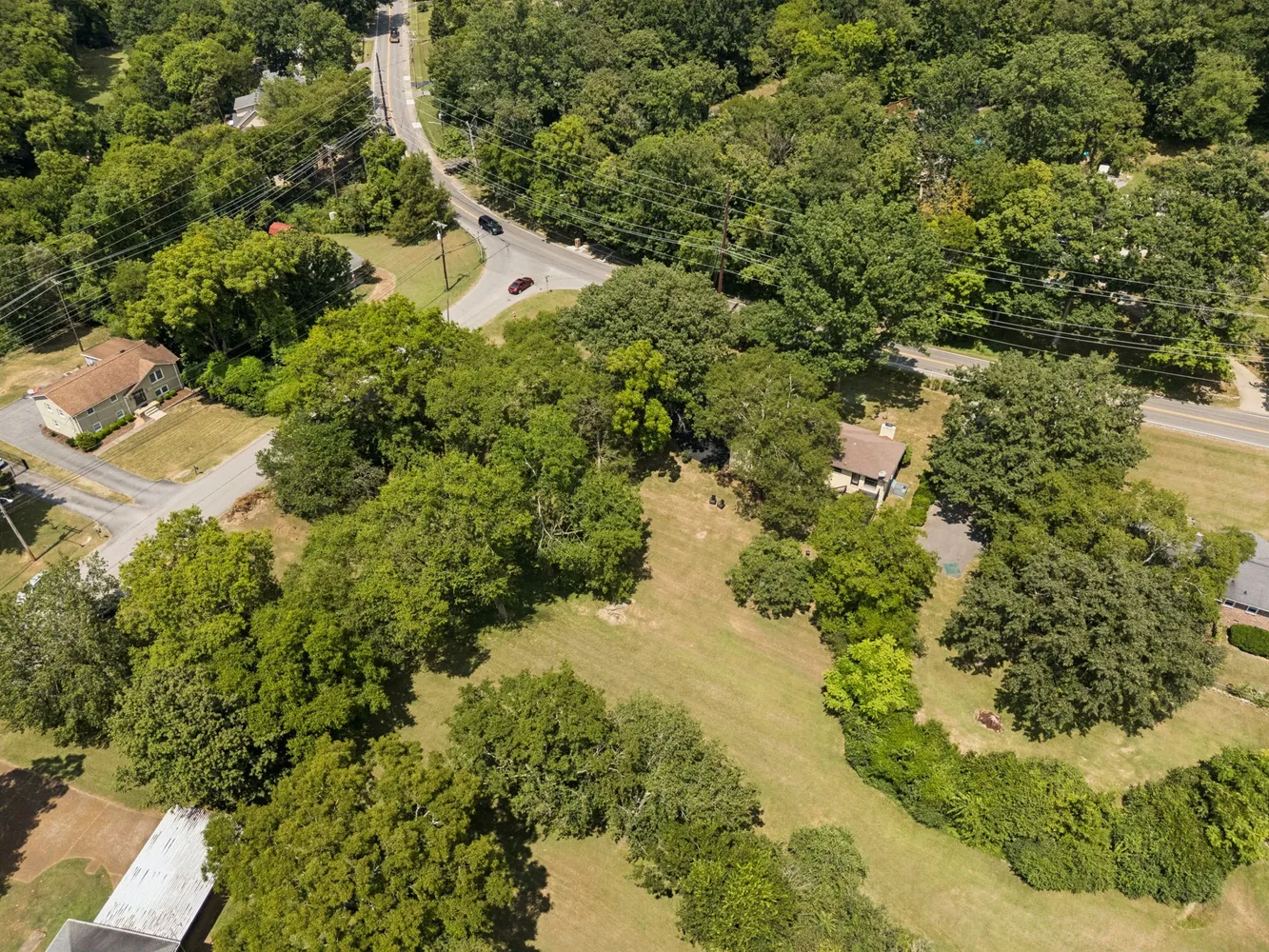 an aerial view of forest