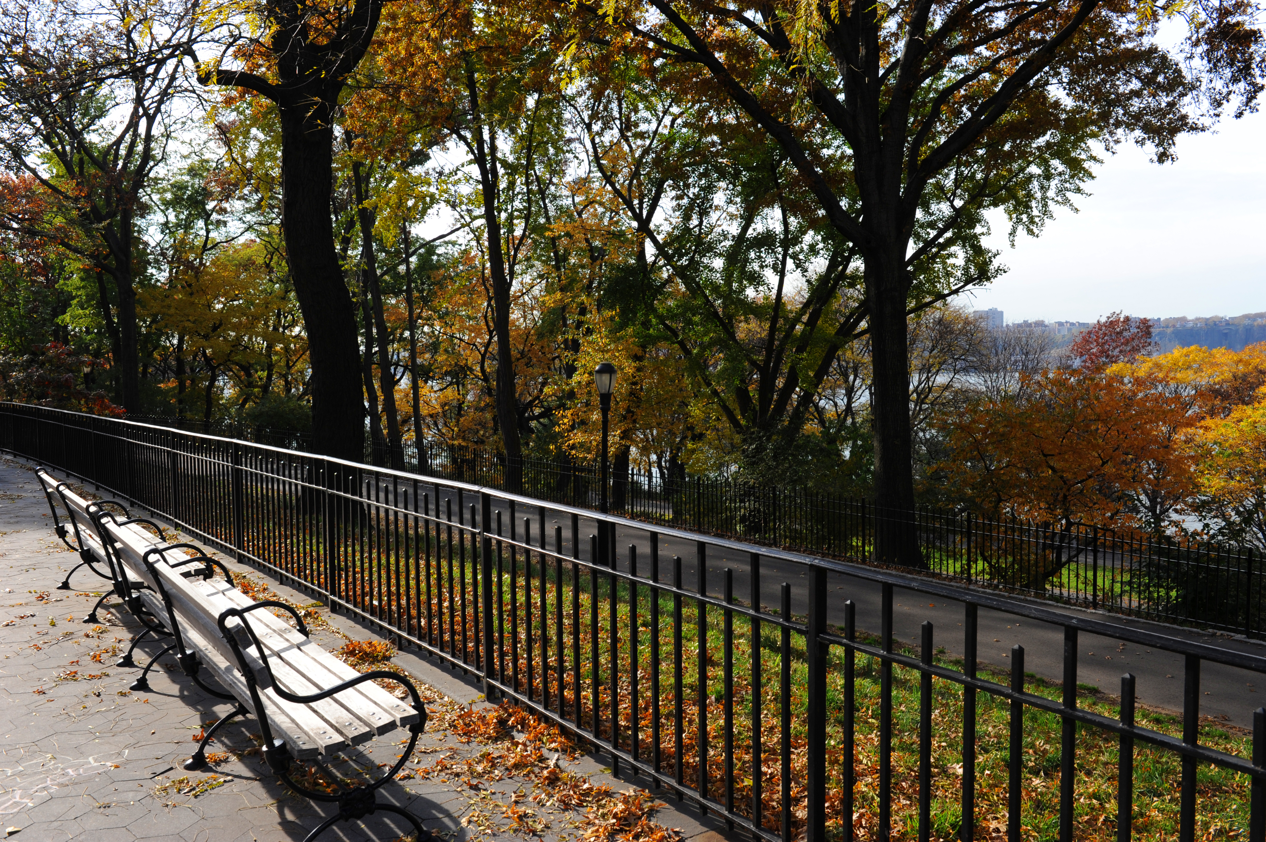 194 Riverside Drive, Unit 5E Manhattan, NY 10025 - Photo 25 of 26 a view of balcony with wooden floor and trees