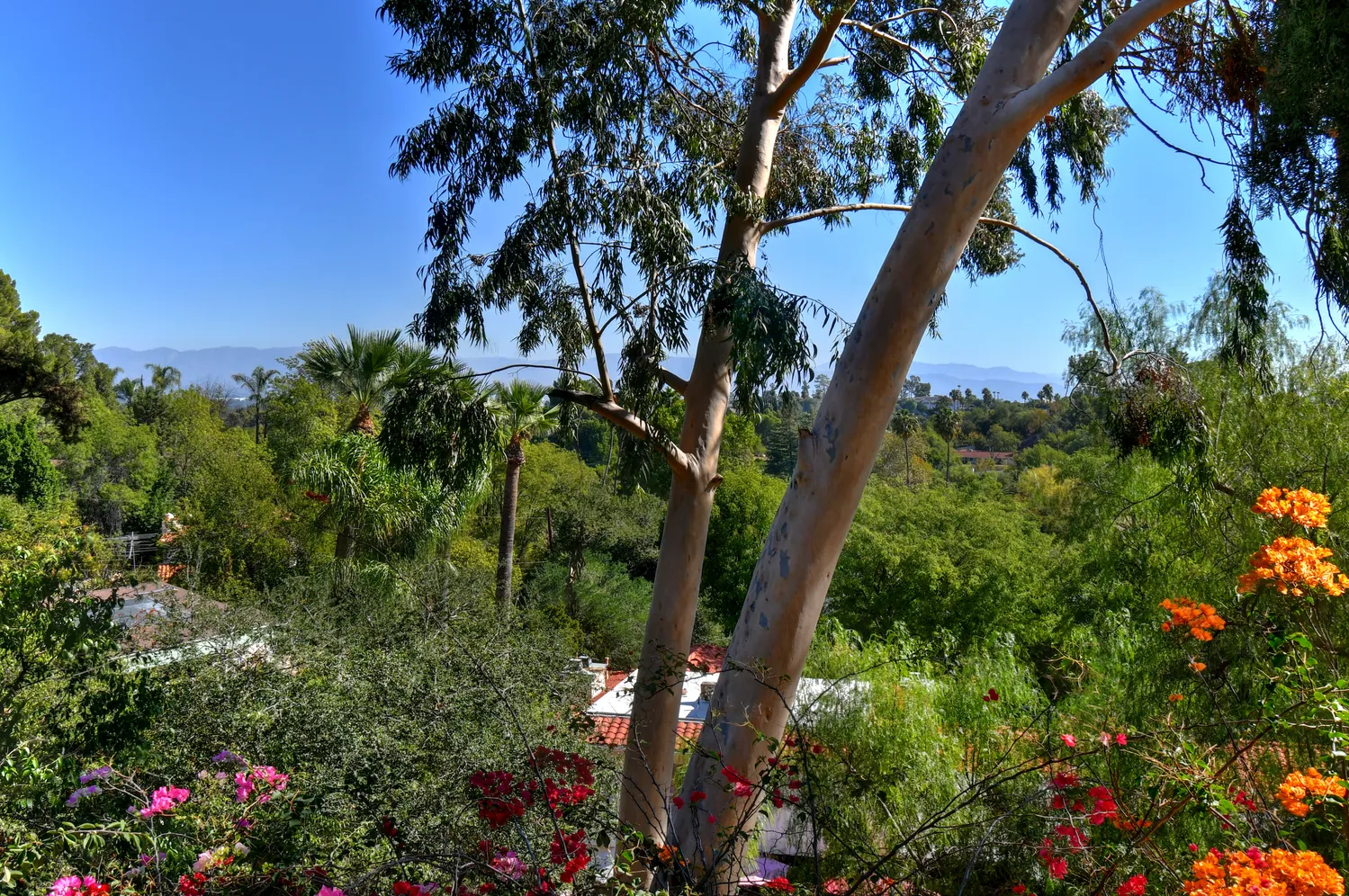 $3,025,000 | 20150 Delita Drive, Woodland Hills, CA 91364