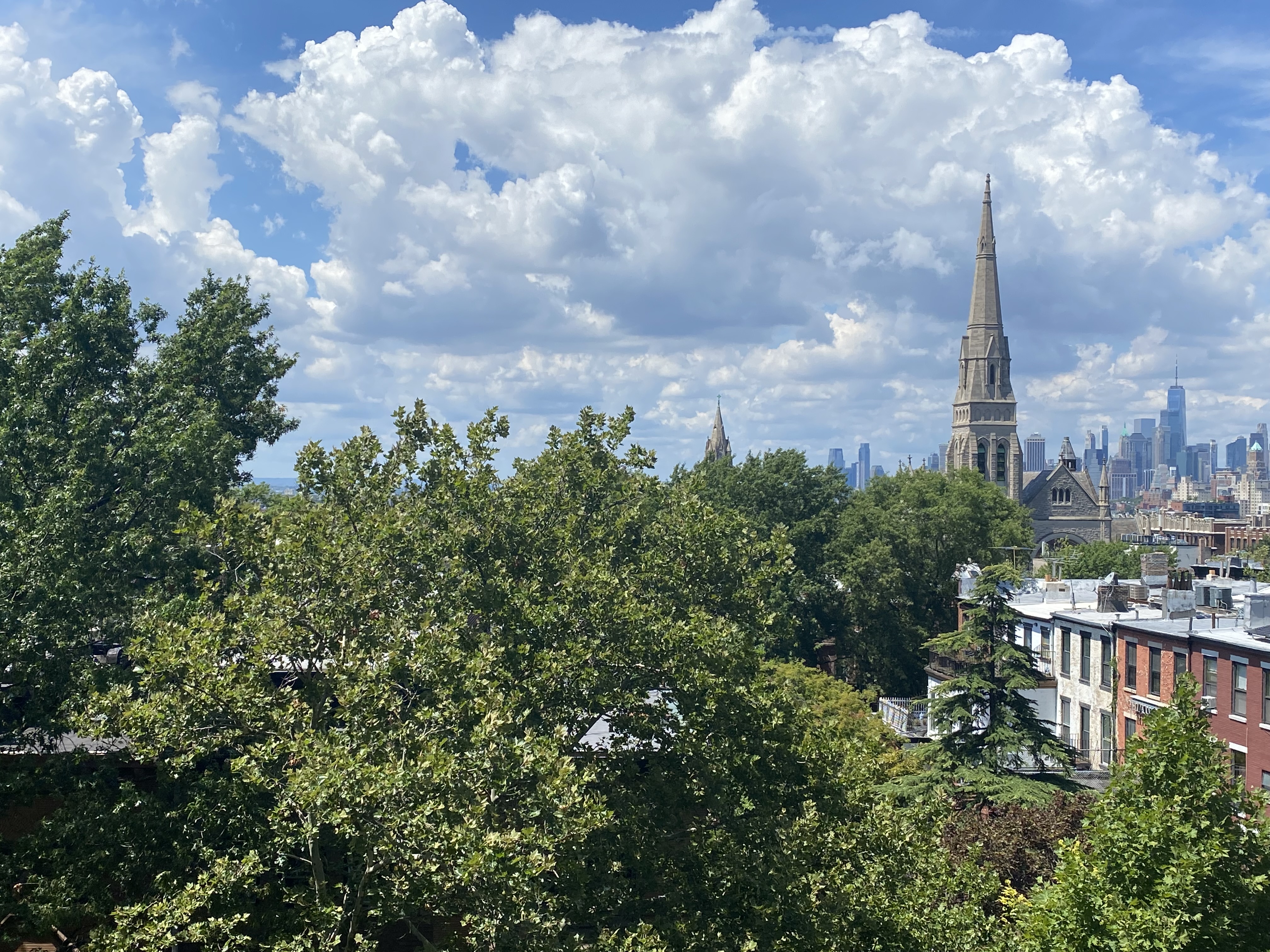 140 8th Avenue, Unit 6J Brooklyn, NY 11215 - Photo 8 of 13