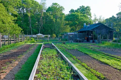 a view of yard with green space