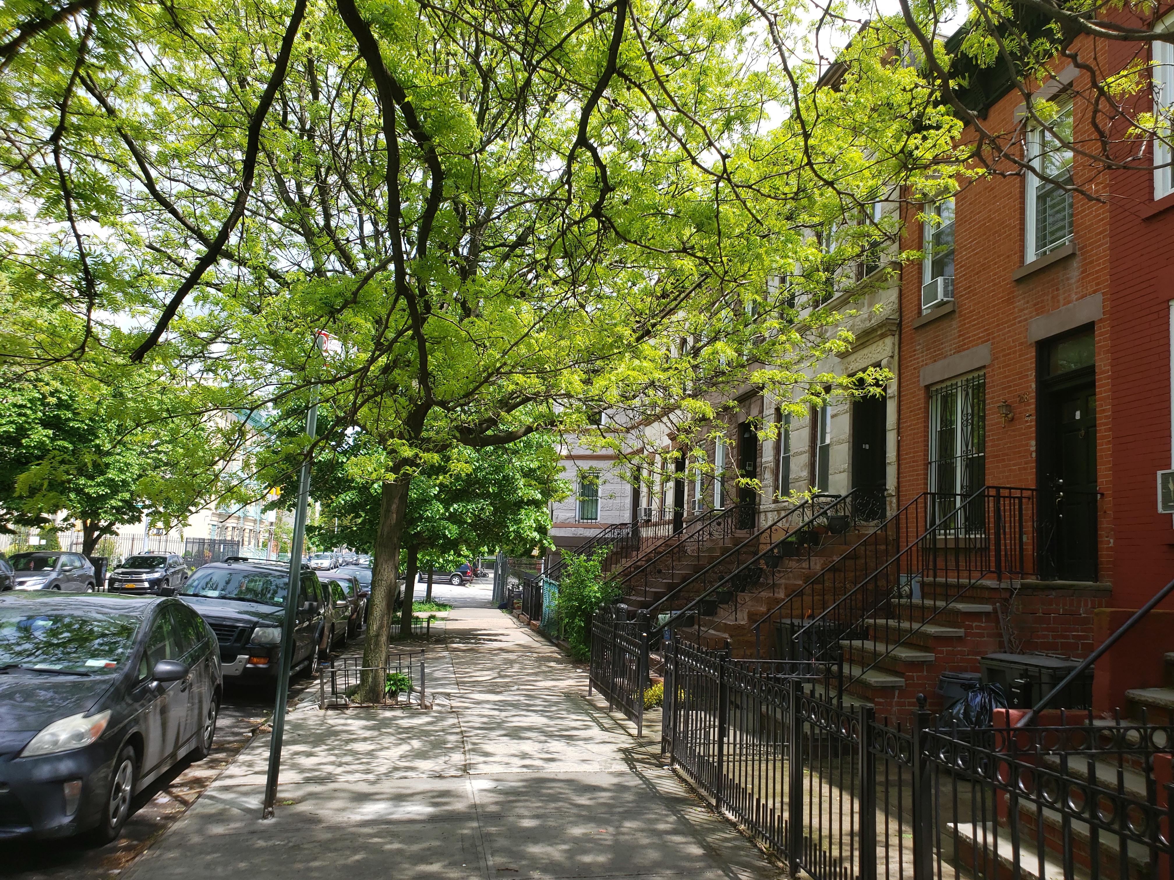268 Bainbridge Street, Unit GARDEN Brooklyn, NY 11233 - Photo 8 of 9