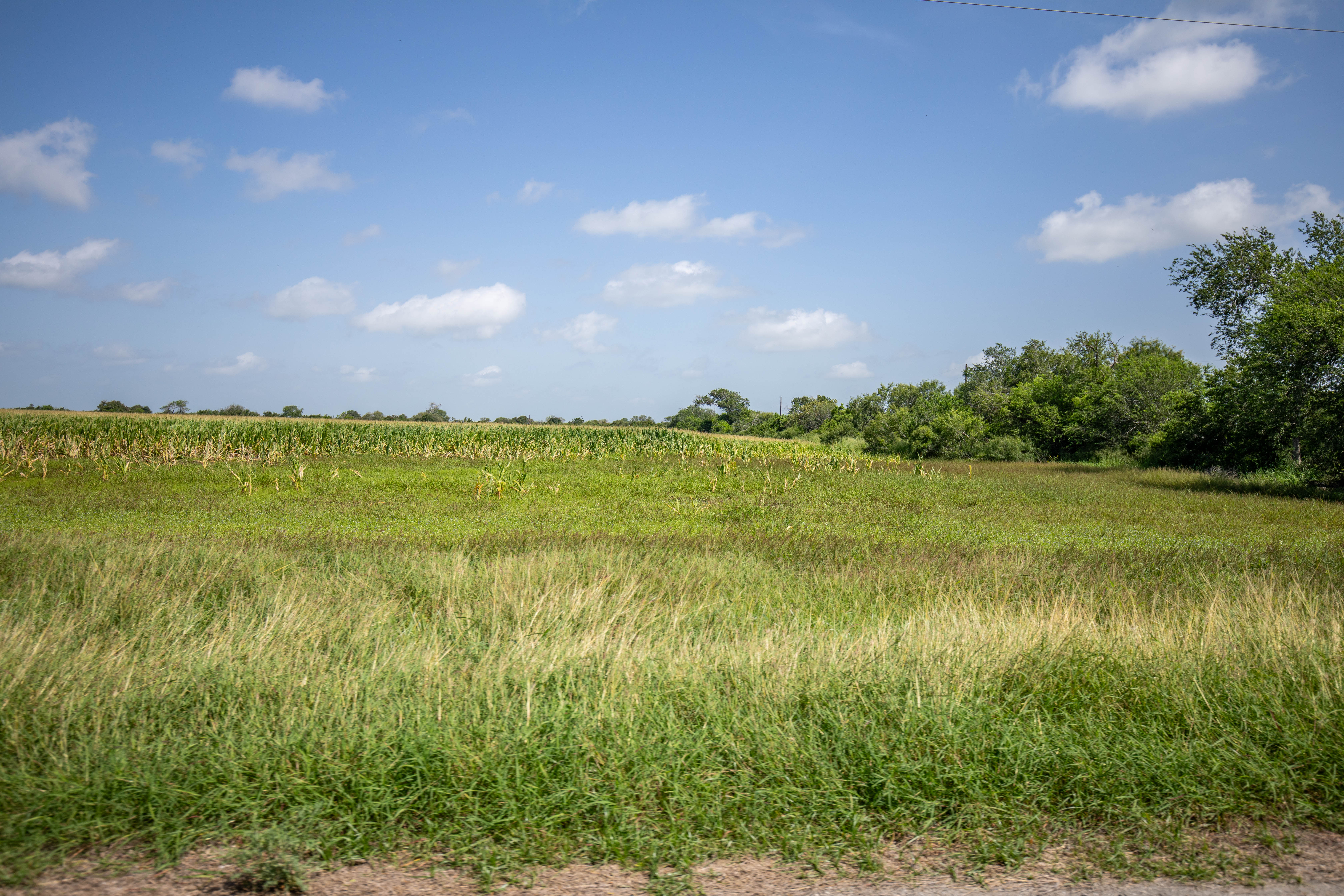 0 Fm 888 Mathis, TX 78368 - Photo 18 of 18