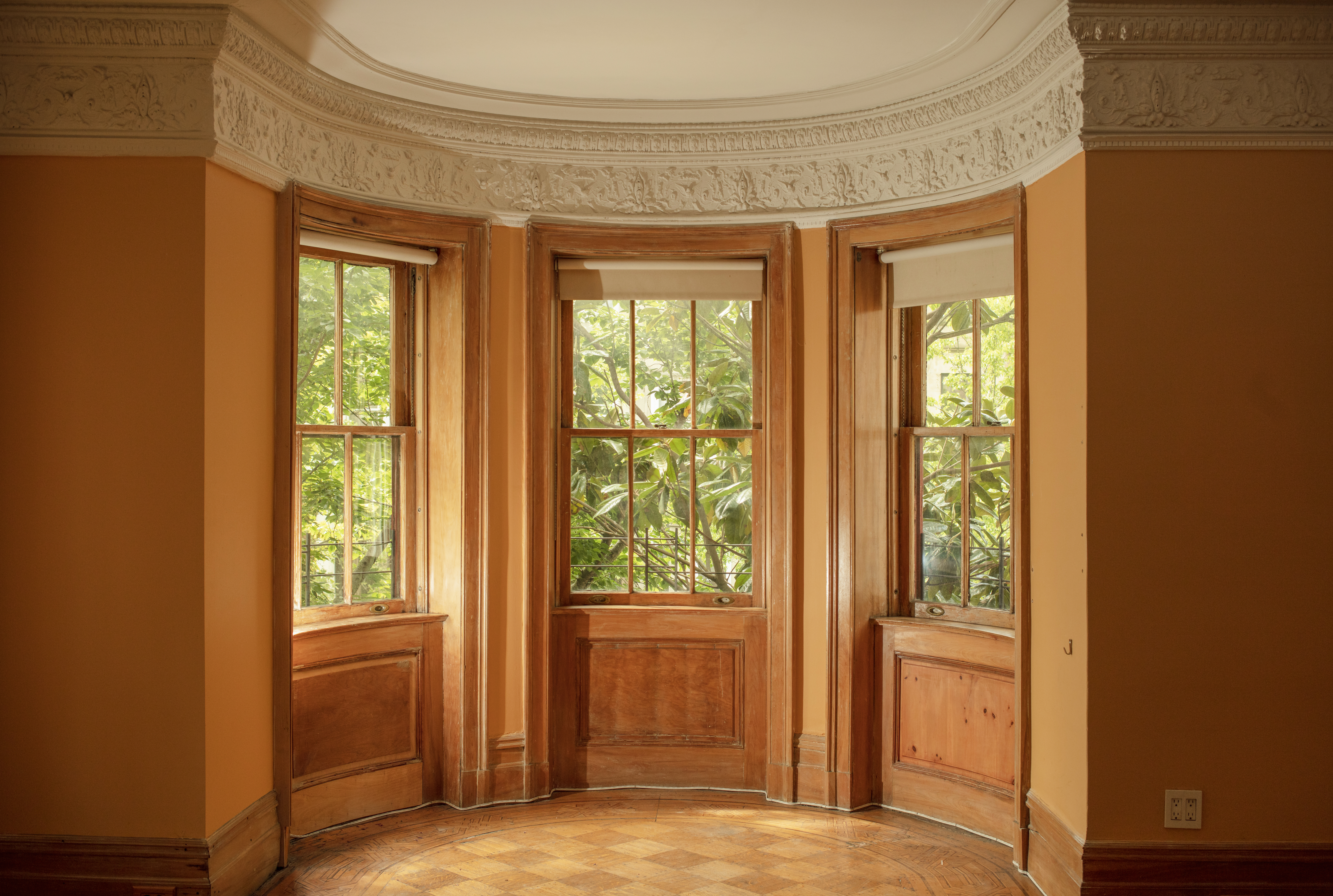 853 Park Place Brooklyn, NY 11216 - Photo 5 of 20