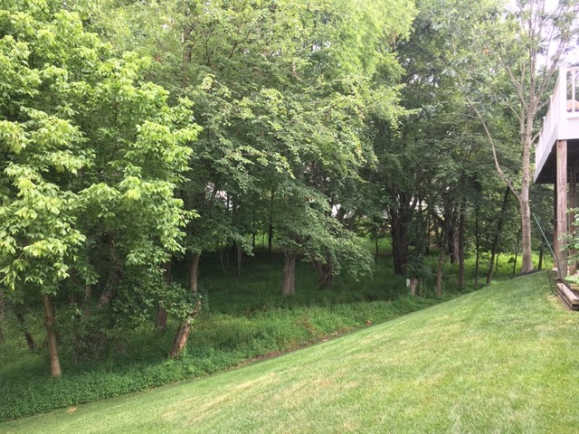 10036 Rolling River Run Laurel, MD 20723 - Photo 16 of 16