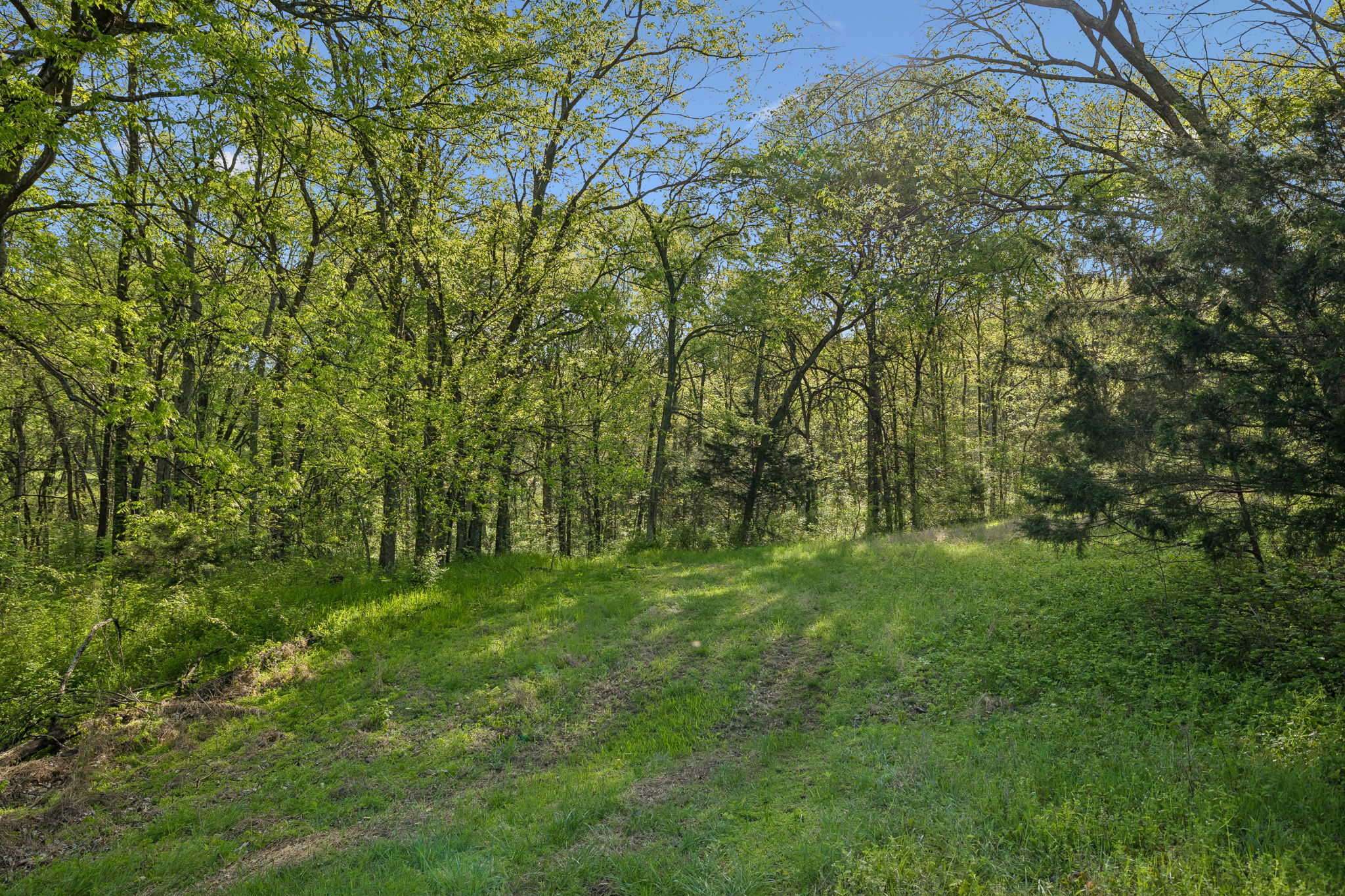 Undisclosed Address College Grove, TN 37046 - Photo 10 of 24 a view of a lush green space