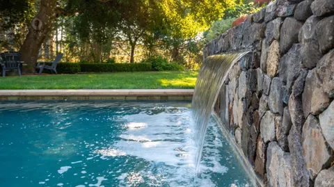 a view of a yard with plants and trees