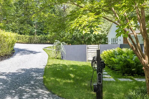 a view of a yard with plants and large trees