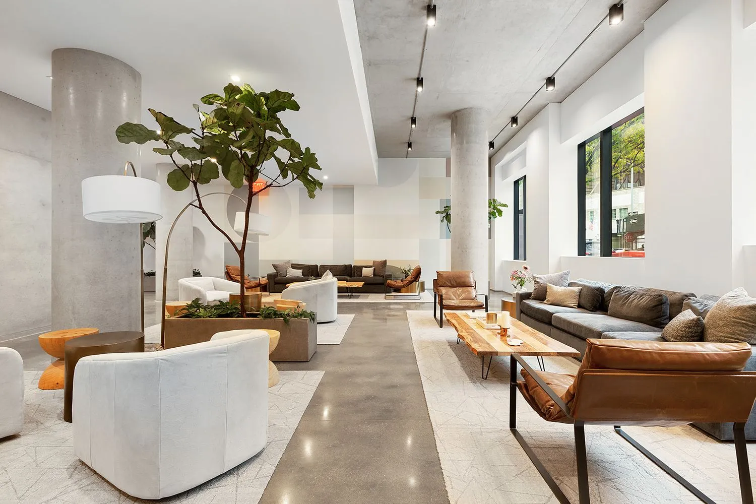 a living room with furniture and a potted plant